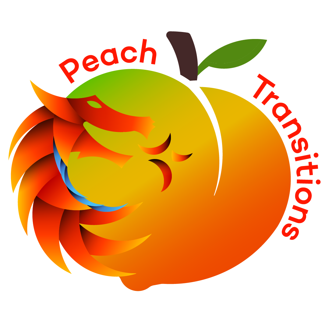 shipping-vehicles-from-japan-peach-transitions